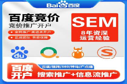 百度搜索引擎优化推广：成功案例揭秘
